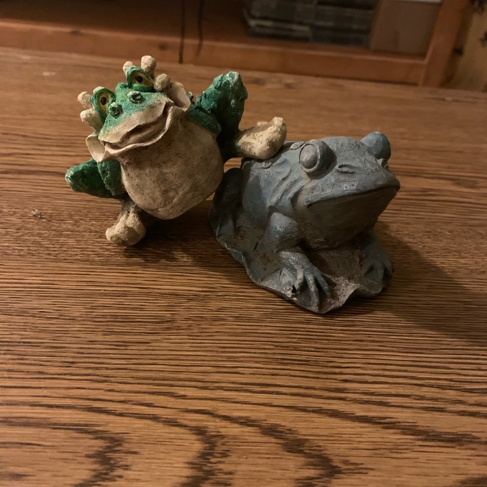 Frog decor